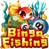 Bingo Fishing jili 333 login