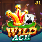Wild Ace slot jili 333 login